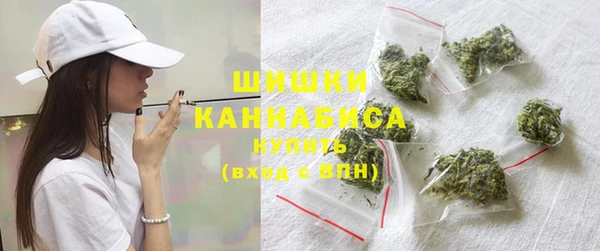 прущие грибы Аркадак