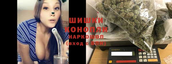 хмурый Арсеньев