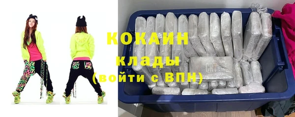 хмурый Арсеньев