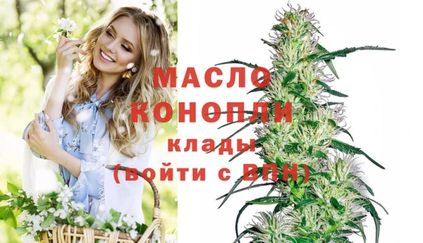 хмурый Арсеньев