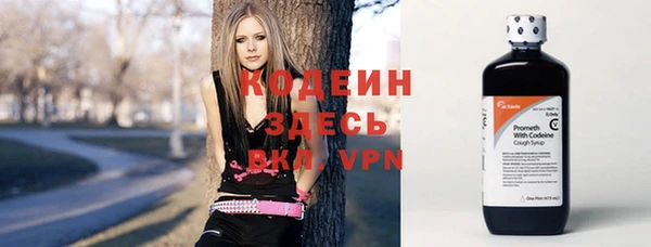 прущие грибы Аркадак