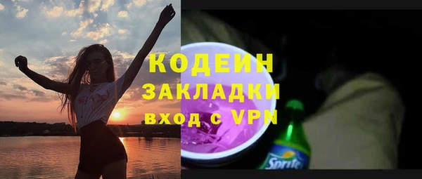 хмурый Арсеньев