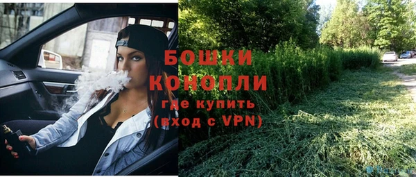 хмурый Арсеньев