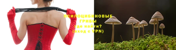 прущие грибы Аркадак