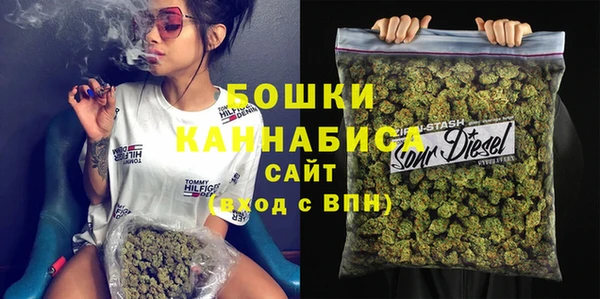 прущие грибы Аркадак