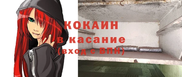 хмурый Арсеньев