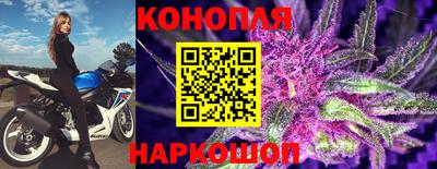 ALPHA PVP Ачхой-Мартан