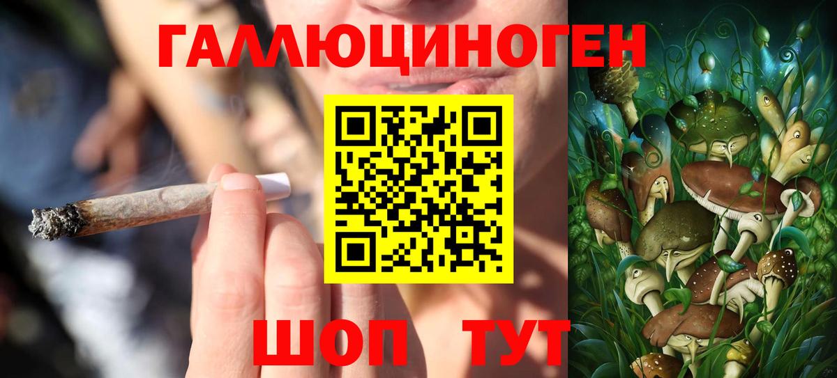 Галлюциногенные грибы GOLDEN TEACHER  Вход с VPN  Брянск 